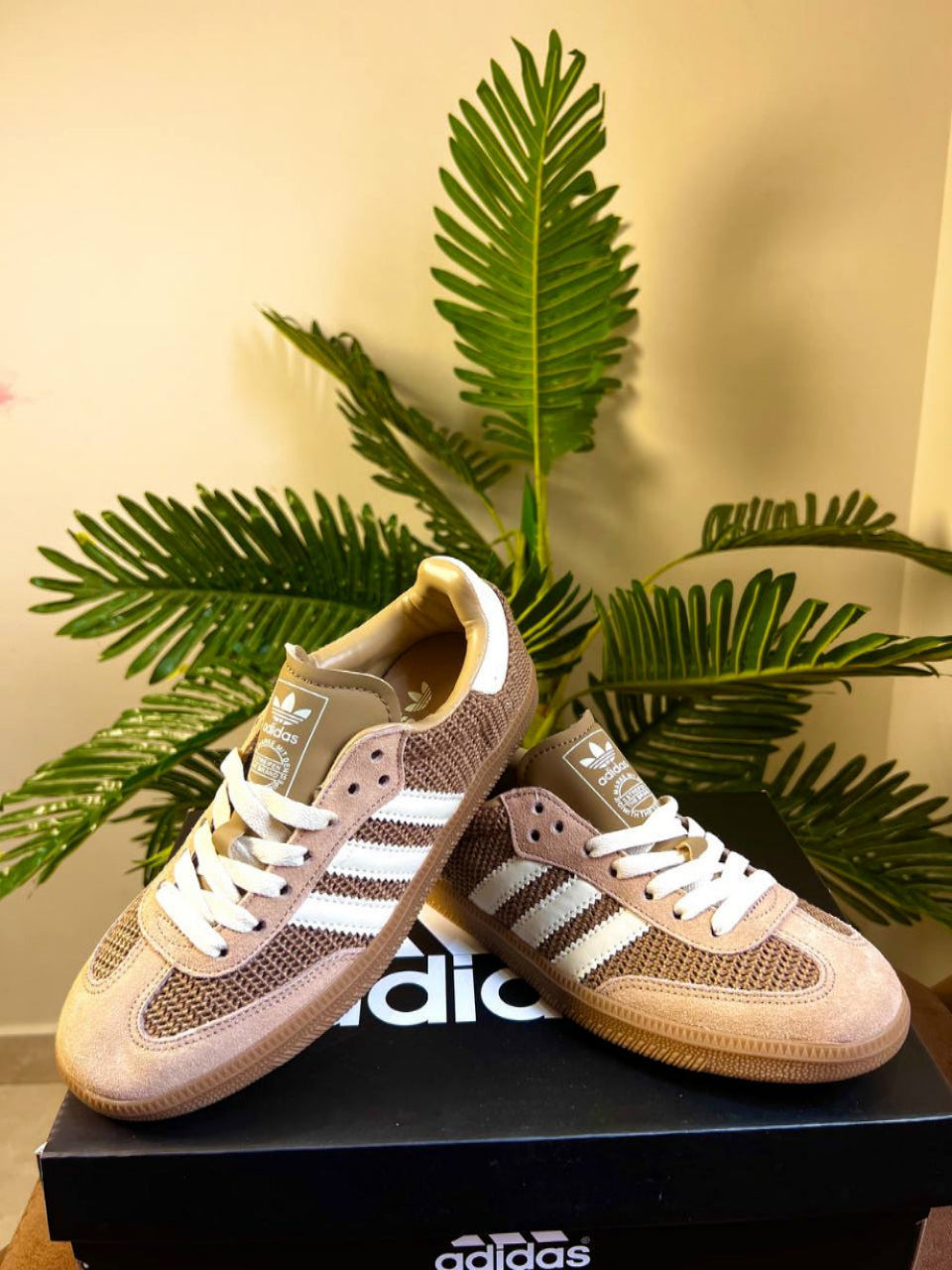 Beige Women Samba