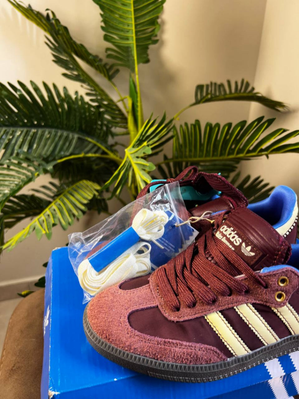 Burgundy Women Samba