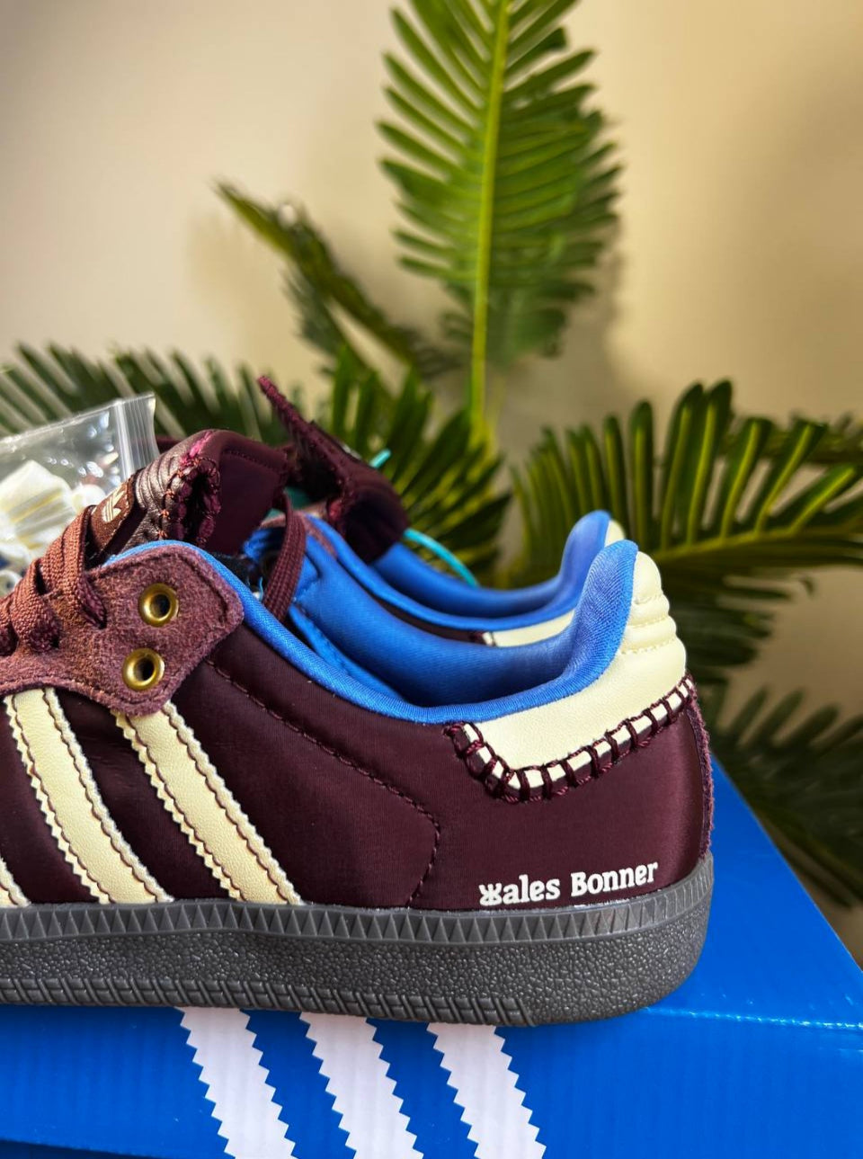 Burgundy Women Samba