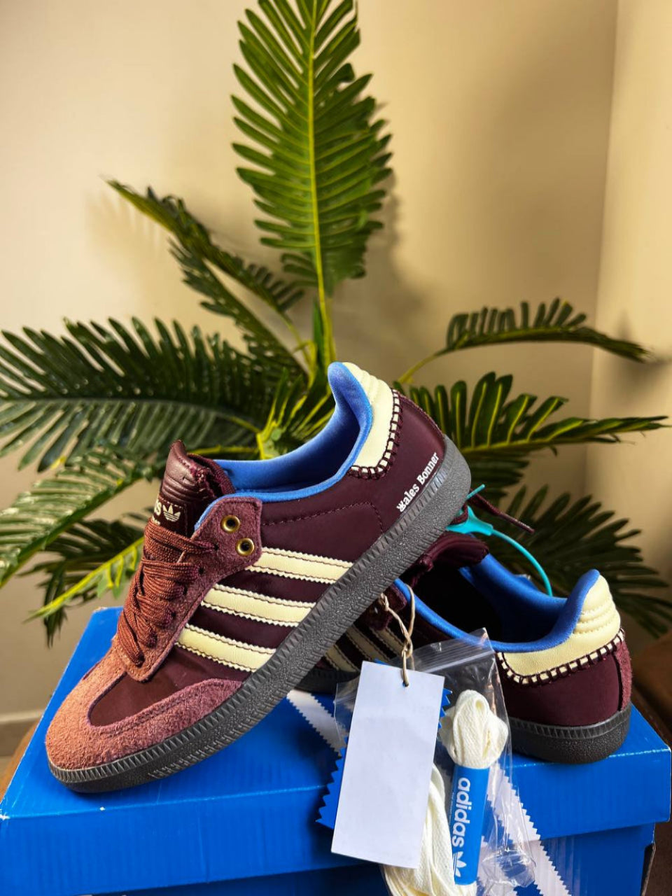 Burgundy Women Samba